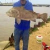 Caught and released Ricardo Desmore took this bull drum on shrimp