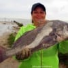 Donna Martinez of LaPorte TX tuffed today's wind and rain to hook this nice drum on shrimp