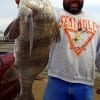 H. Henry of Chambers County TX nabbed this nice keeper eater drum on shrimp