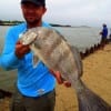 J.R. Norris took this nice drum on shrimp