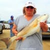 Lola Carlson of Winnsboro TX fished a finger mullet to nab this 30inch tagger bull red