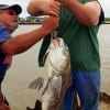 Marvin Cates of Woodlands TX struggles to weigh his HUGE 39inch- 29LB bull drum he caught and released on shrimp