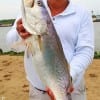 No Name angler from No Name TX caught and released this HUGE 28.5inch - 8lb gator-speck he took on soft plastic