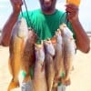 Ralph Spiller of Houston tethered up this Texas Slam of trout reds, and flounder he caught on soft plastics