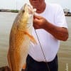 Rapid River Michigan angler Tony Lordsom took this nice 28inch slot red on a finger mullet