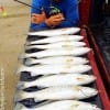 Rollover Angler Donnie Lucier stood the night-shift to catch his limit of specks from11pm to 2am while fishing Boot-tails and mini-assassins