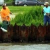 Rollover anglers having fun catching trout