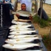 The Morrison Brothers of Houston finished their great mornings worth of HOT ACTION with 18 specks and one slot refish while fishing soft plastics