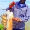 This Houston angler caught a nice drum and red while fishing shrimp