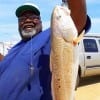 Travis Murphy of San Antonio TX caught and tagged this 29inch bull red on shrimp