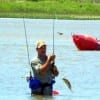 Bay wader hooks and lands a sushi