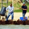 Fellow angler nets his buddy's fish- a nice drum