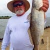 New Caney angler Randy Price took this nice speck on live shad