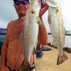 Rollover angler Stuart Yates offered live croaker to these nice trout that ended up on his stringer