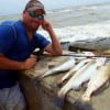 Surf wader Keith Platt worked an 808 mirrOlure off the pilings to nab these nice 3 to 5lb specks