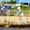 Anglers landing a nice speck off THE WALL