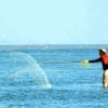 Bay wader casting for bait fish