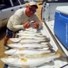 Charles O'Neal of Santa Fe TX waded the jetty rocks with his O'Neal Special to tailgate these nice specks