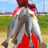 Charles O'Neal of Santa Fe TX wrestled these nice trout from the tide change in the bridge area of the cut