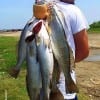 Ethan McAlpin of High Island fished a T-28 to nab this limit of specks near the bridge