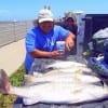 Fishin buds Larry Cockman of Houston and Vigin Islander Dale Marinesngh tailgated their day's catch topped with a 29incher caught on T-28s