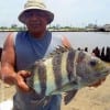 Helbert Izguierdo of Houston hefts this nice sheepshead took on shrimp- BUT BUT he said, my brother caught it not me