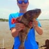 Jakome Keith of Dayton TX took this nice drum while fishing fish bite pads