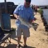 Jeff Southern of Lufkin TX took this nice red on live shad