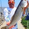 Live shad put this 25inch gator-speck in the box for Eli Peralta of Humble TX