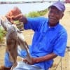 Nathen Pollard of Houston took thses nice drum while fishing shrimp