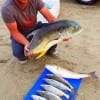 Rollover D. fished the night shift for these nice trout, reds, and Crevalle by fishing soft plastics