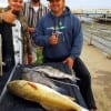 The Huntsville Fishing Krewe spent their night shift catching bull reds, drum, and sheepshead