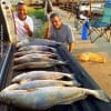 The Johnson Brothers fished the night-shift with Little John MirrOlures to catch these HEAVY specks on the 3AM tide