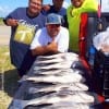 The South Houston Wolfpack Krewe tailgated this nice catch of drum while fishing shrimp