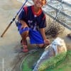 Young Benjamin Cople of Sheppard TX helped his daddy land this HUGE 38inch drum- then to release it back into the pass