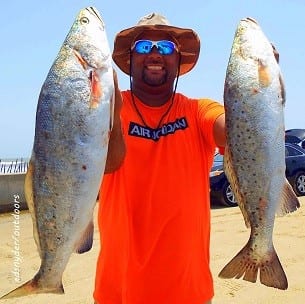 Eric -Hook-Lip- Morrison of Houston fished a Hogan-R to catch these nice gators