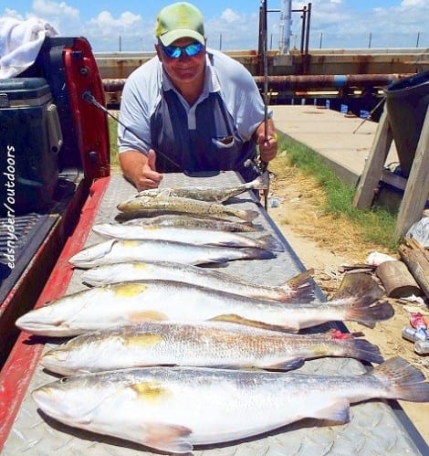 HamshireTX angler Tony Mazzola took this nice limit of specks on soft plastics