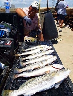 Off The Wall angler Buddy Settle of Rye TX worked a Hogan-R to catch these nice specks topped by a 27inch gator