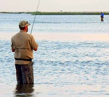 Bay Waders on an Early Morning Face Off fishing for flounder