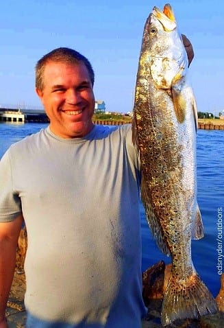 Baytown TX angler Dan Wilson fished a saltwater assassin to land this 25inch- 4lb-10oz gator-speck