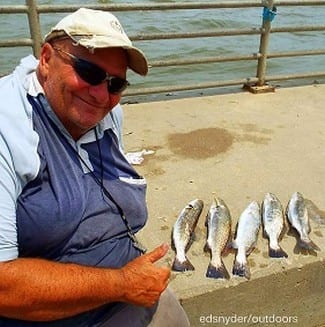 Hamshire TX angler Tony Mazzola nabbed these nice specks fishing shad