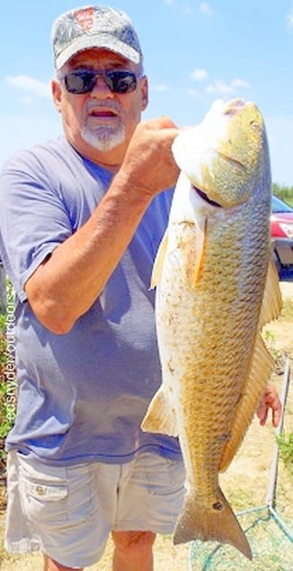 James Fontenot of Alvin TX hefts this nice 32inch tagger bull red caught on a finger mullet