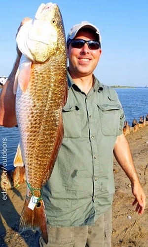 Josh Colonna of San Leon TX took this nice 29inch tagger bull red on shrimp