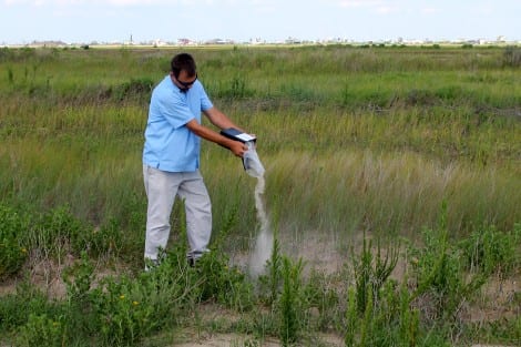 Per his wishes, Max's ashes were scattered in the marsh by his nephew from New Orleans, Kelly Watson.