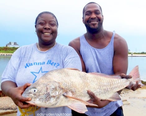 Newton TX couple James and Toni Sylvester wrangled up this HUGE 29inch drum while fishing shrimp