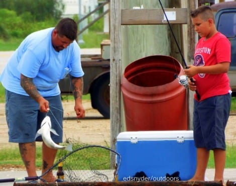 Off the wall action--young angler letting dad net his drum