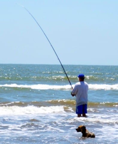 Surf Dog minding his Surf-Angler Master