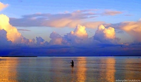 Wade Angler stepping into Paradise looking for the treasure of the flats