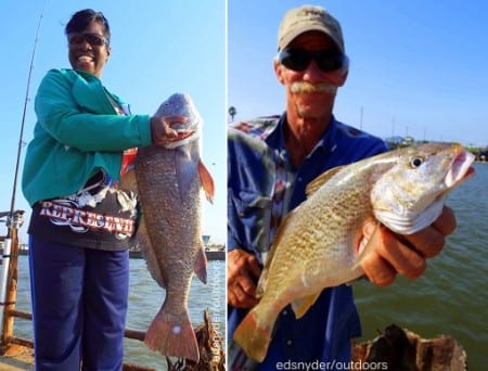 Houston anglerette Arlene Eldridge caught and released this HUGE bull drum she took on shrimp; Bobby Dijoun of Winnie TX hefts this rather large golden croaker caught on shrimp