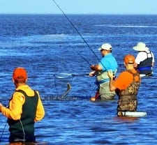 Bay wader nets a really nice flounder